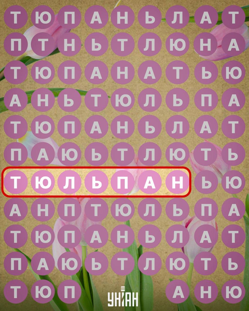 / จับแพะชนแกะ Moje