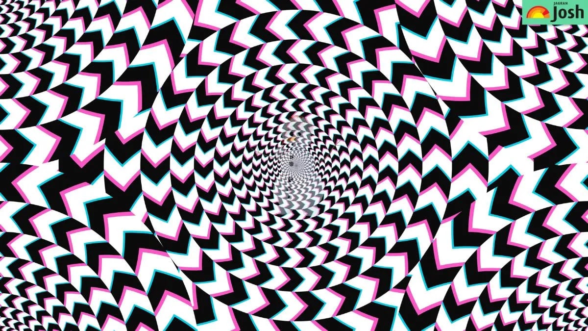 ปริศนาเพื่อสายตาที่เฉียบแหลม: คุณต้องค้นหาภาพที่ซ่อนไว้ภายใน 5 วินาที