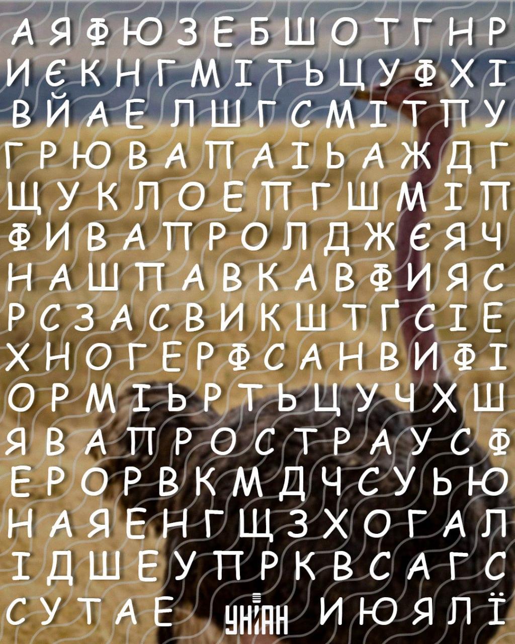 เฉพาะผู้ที่มีไอคิวสูงเท่านั้นที่จะพบคำว่า 'นกกระจอกเทศ' ใน 10 วินาที: ปริศนาที่ยุ่งยาก