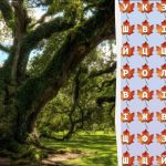 มีอัจฉริยะเพียง 2% เท่านั้นที่จะค้นพบคำว่า "ต้นไม้" ใน 10 วินาที: ปริศนาที่น่าทึ่ง มีอัจฉริยะ