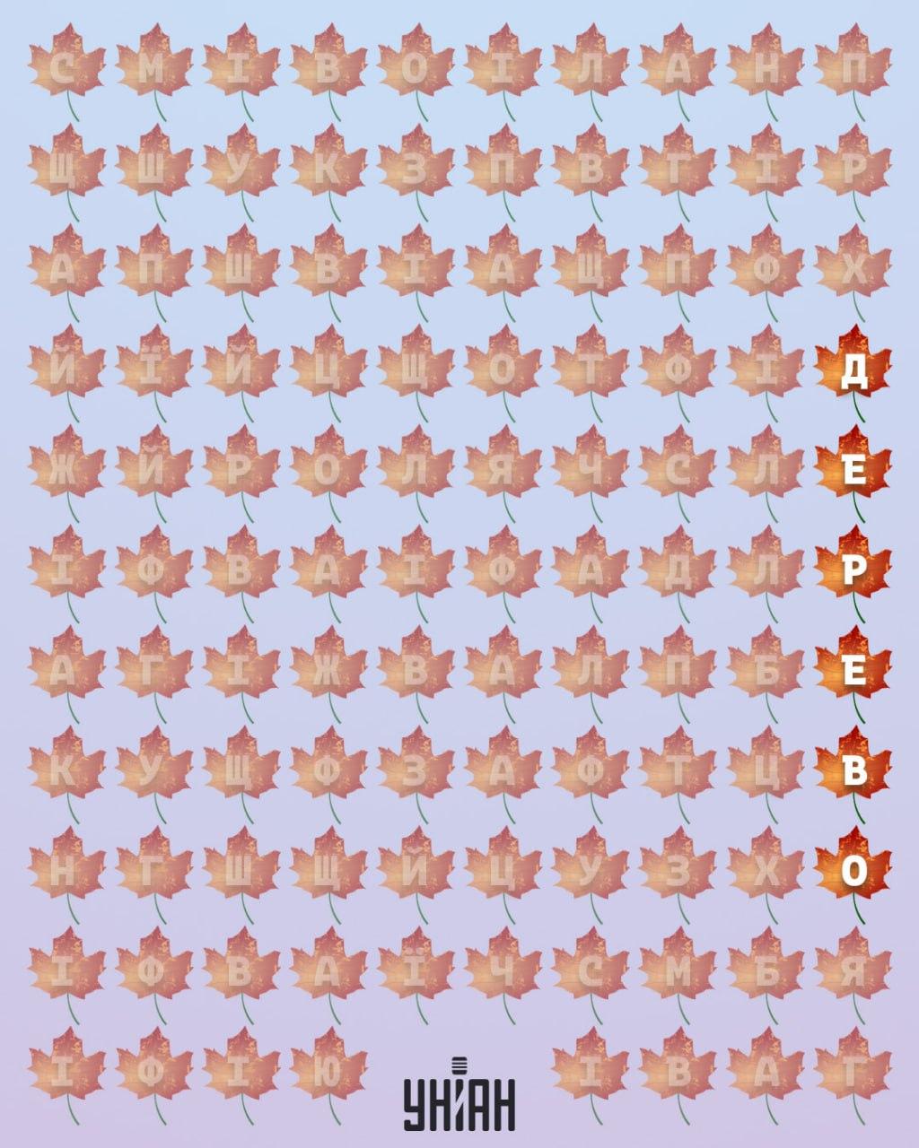 จับแพะชนแกะ Moje