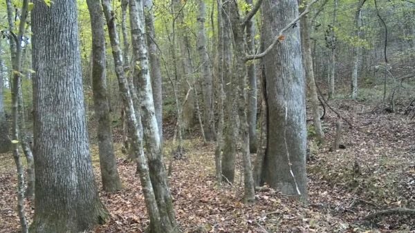 ความลึกลับ