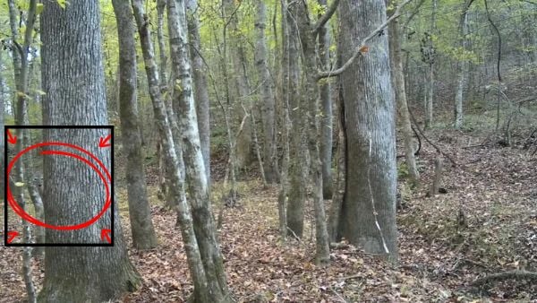 สารละลาย