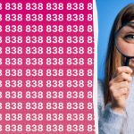 คุณมีไอคิวสูงหากคุณสามารถค้นหาหมายเลข 888 ได้อย่างรวดเร็วจากคนอื่นๆ หลายร้อยคน คุณมีไอคิว