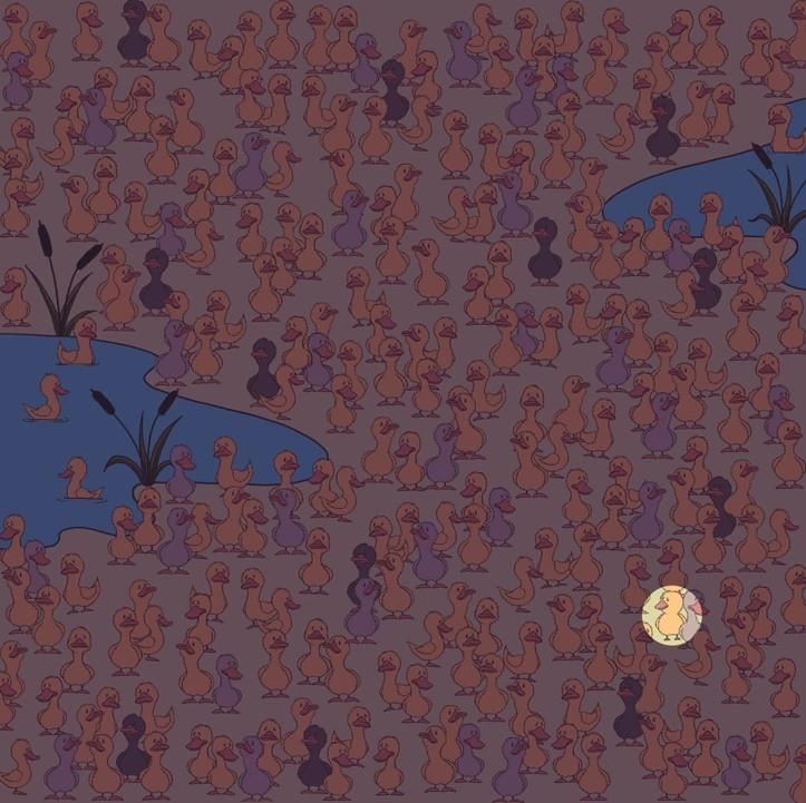 สารละลาย