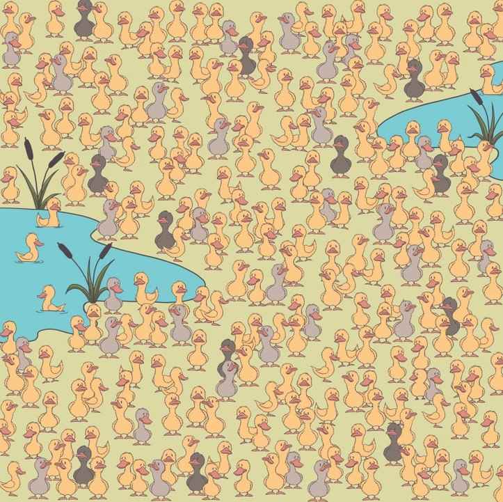 ความลึกลับและสิ่งสำคัญ