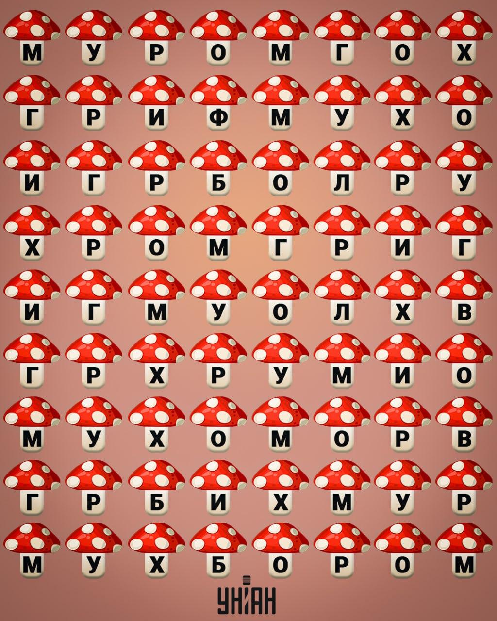 จับแพะชนแกะ Moje