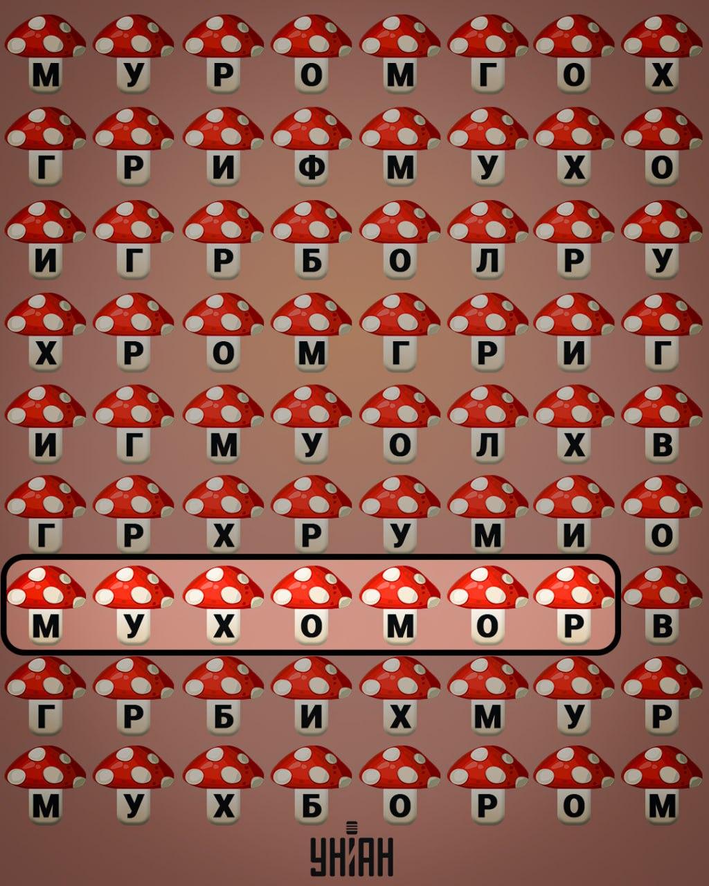 จับแพะชนแกะ Moje