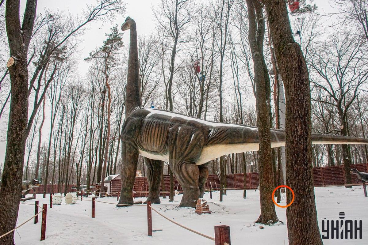 สุนัขอยู่ใกล้มุมซ้ายล่างของรูปภาพ / ภาพตัดปะ Moje