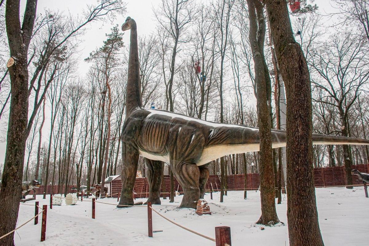 ค้นหาสุนัขท่ามกลางหิมะใน 10 วินาที / ภาพตัดปะ Moje