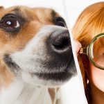 มีเพียงไอค