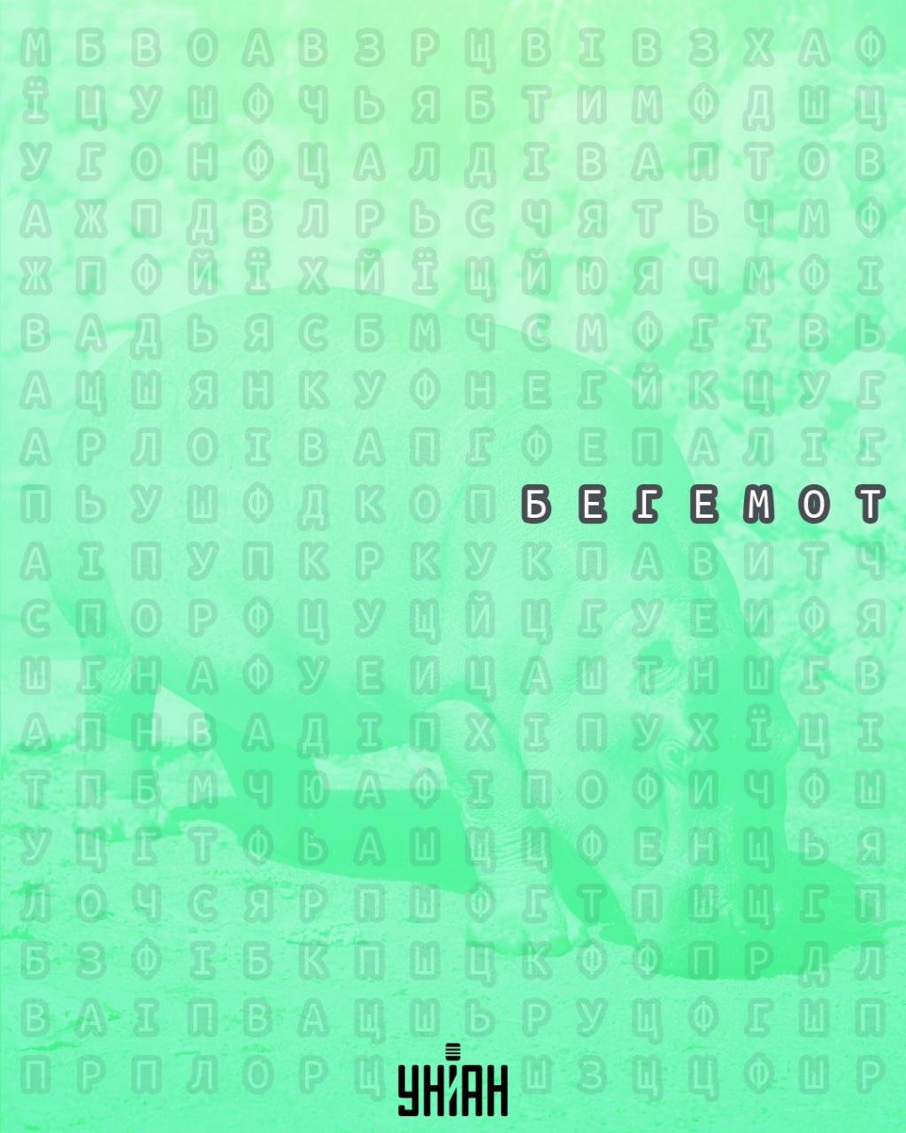 จับแพะชนแกะ Moje