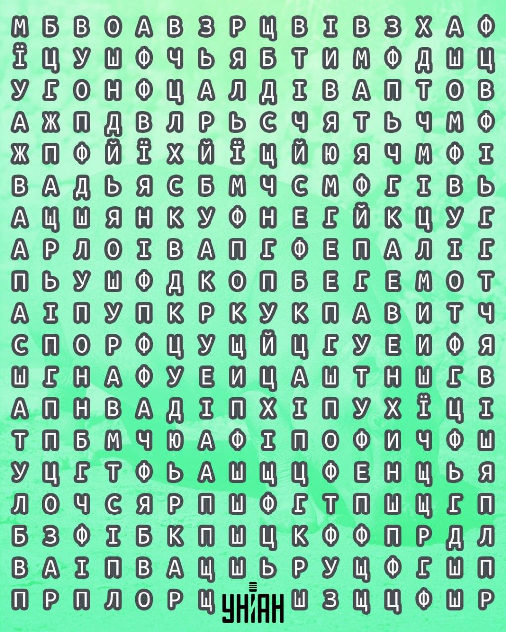 จับแพะชนแกะ Moje