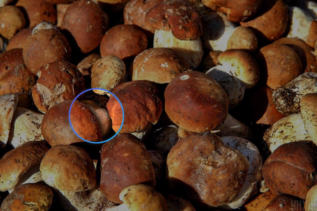 หินนั้นเกือบจะอยู่ตรงกลางของภาพลวงตา / ภาพต่อกันของ Moje