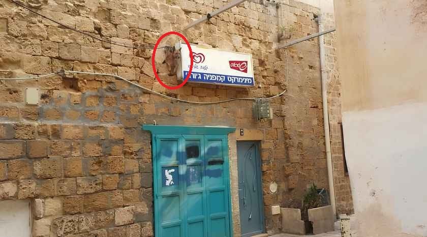 ภาพลวงตา