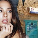 มีเพียงอัจฉริยะเท่านั้นที่จะพบสุนัขบนถนนใน 7 วินาที: ภาพลวงตาที่ซับซ้อน มีเพียงอัจ