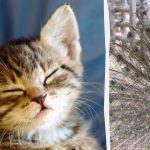 ทุกคนเห็นน