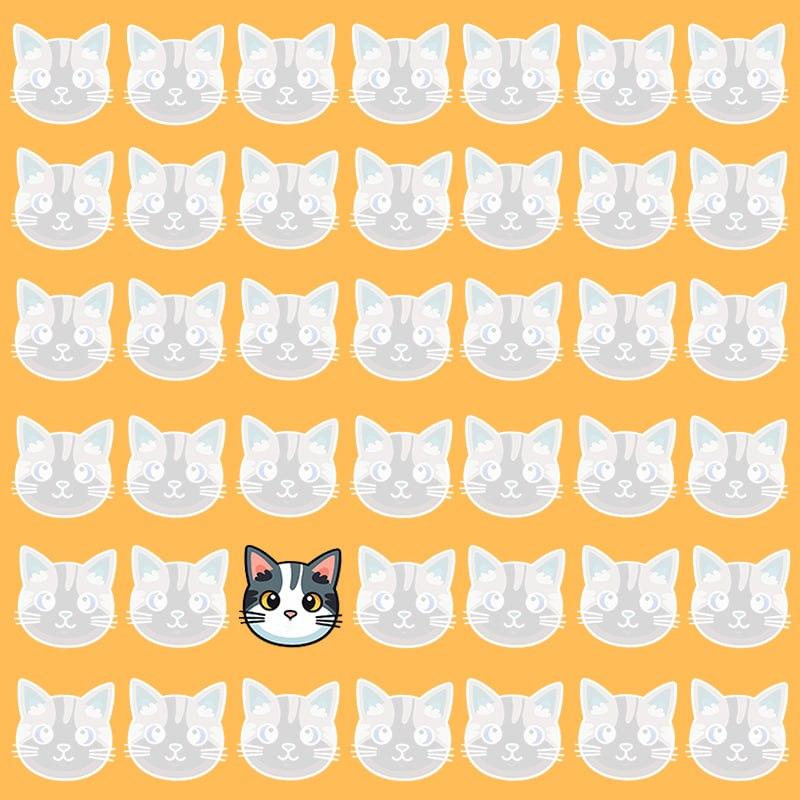 ภาพลวงตานี้เกิดขึ้นได้เฉพาะกับผู้ที่มี IQ / Image Moje ที่ดีเท่านั้น