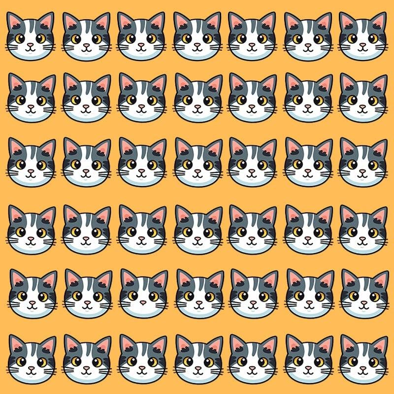 ภาพลวงตานี้เกิดขึ้นได้เฉพาะกับผู้ที่มี IQ / Image Moje ที่ดีเท่านั้น