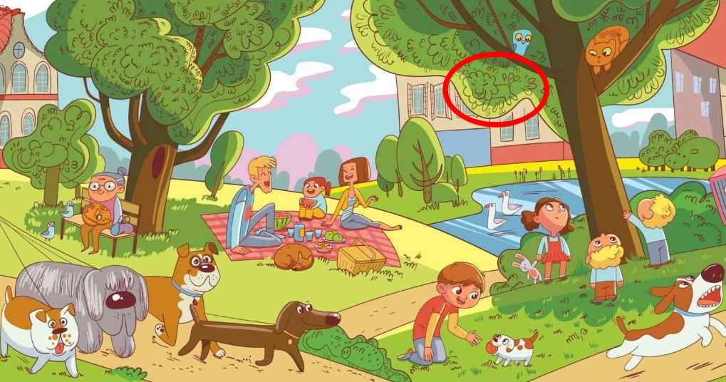 มีเพียงไม่กี่คนเท่านั้นที่สามารถทำงานนี้ได้ คุณต้องค้นหาสิงโตในสวนสาธารณะให้ได้ภายใน 6 วินาที