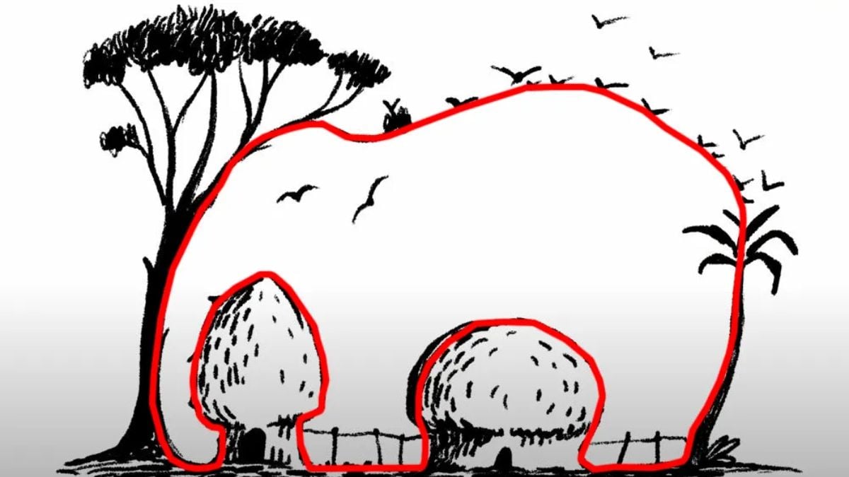 วิธีแก้ปัญหาภาพลวงตา