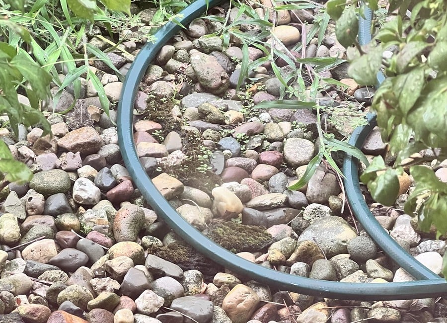 ภาพลวงตา: ค้นหากบที่ซ่อนอยู่