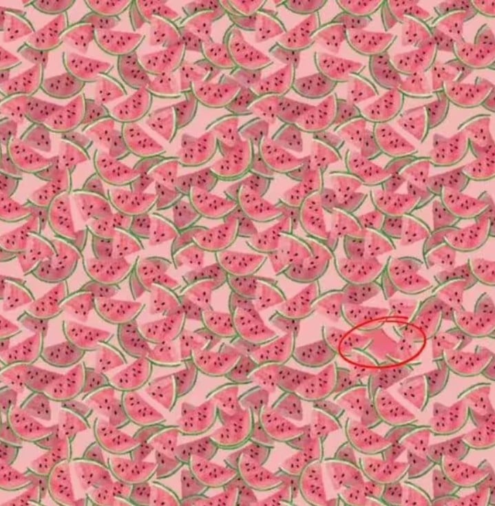 ค้นหาแตงโมพิเศษใน 10 วินาที