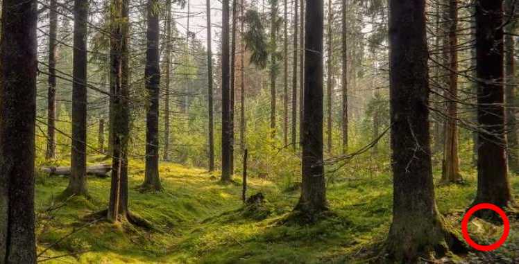 ความลึกลับ