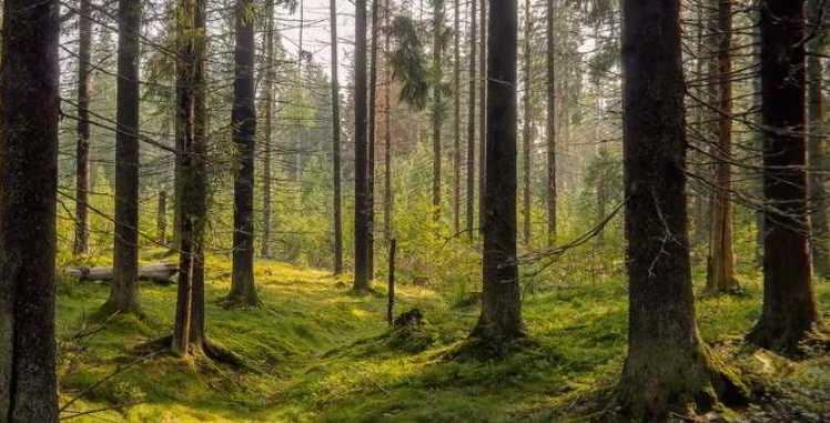 ความลึกลับ