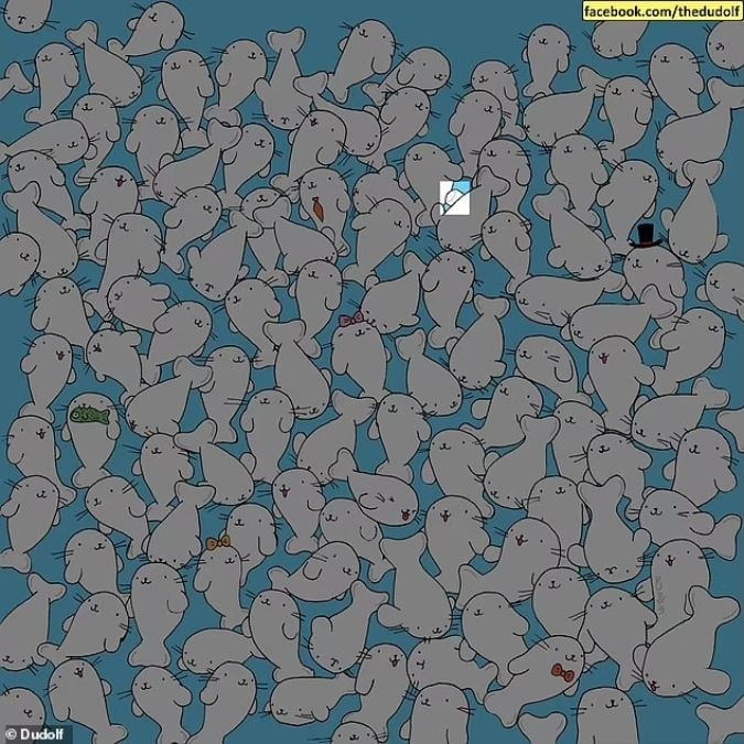 ปริศนาสำหรับคนสายตาแหลมคม: ค้นหามาร์ชแมลโลว์ท่ามกลางแมวน้ำใน 11 วินาที