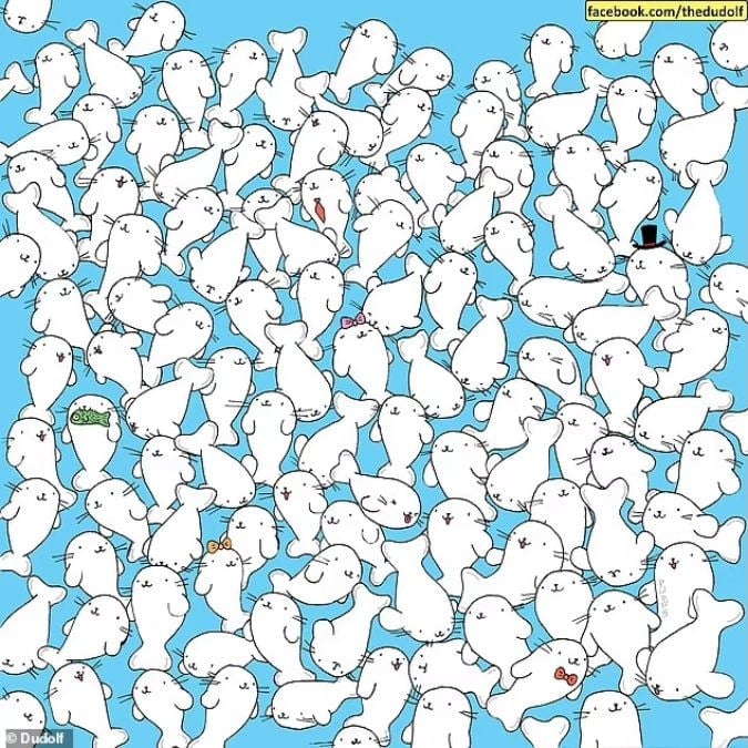 ปริศนาสำหรับคนสายตาแหลมคม: ค้นหามาร์ชแมลโลว์ท่ามกลางแมวน้ำใน 11 วินาที