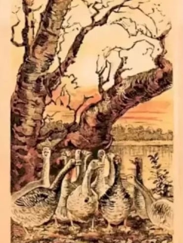 ภาพลวงตา