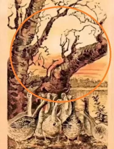 ภาพลวงตา