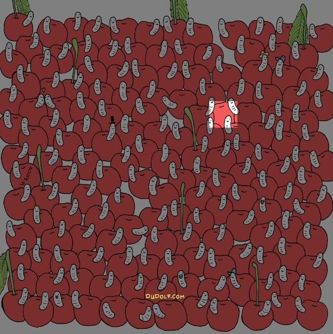 ปริศนาสำหรับผู้ที่มีตานกอินทรี: ค้นหาเชอร์รี่ที่ไม่มีหนอนใน 30 วินาที