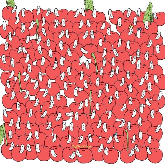 ปริศนาสำหรับผู้ที่มีตานกอินทรี: ค้นหาเชอร์รี่ที่ไม่มีหนอนใน 30 วินาที