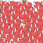 ปริศนาสำหร