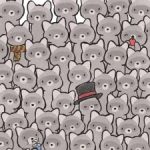 ปริศนาสำหรับอัจฉริยะตัวจริง: ค้นหาแมวท่ามกลางแรคคูนใน 15 วินาที ปริศนาสำหร