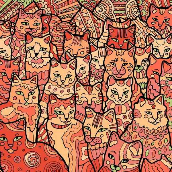 ภาพลวงตาสำหรับผู้ที่มีการมองเห็นนกอินทรี: คุณต้องหาดาวในหมู่แมว