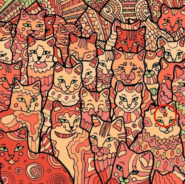 ภาพลวงตาสำหรับผู้ที่มีการมองเห็นนกอินทรี: คุณต้องหาดาวในหมู่แมว