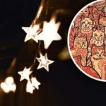 ภาพลวงตาสำ