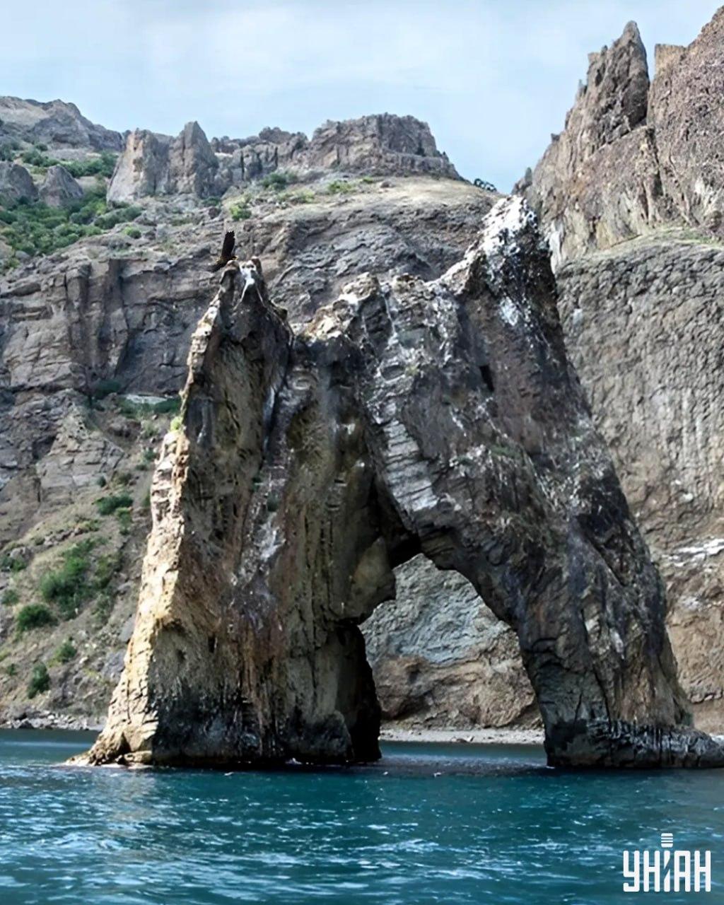 คุณต้องค้นหานกอินทรีในภาพปริศนาในเวลาน้อยกว่า 10 วินาที / จับแพะชนแกะด้วยภาพถ่าย Moje