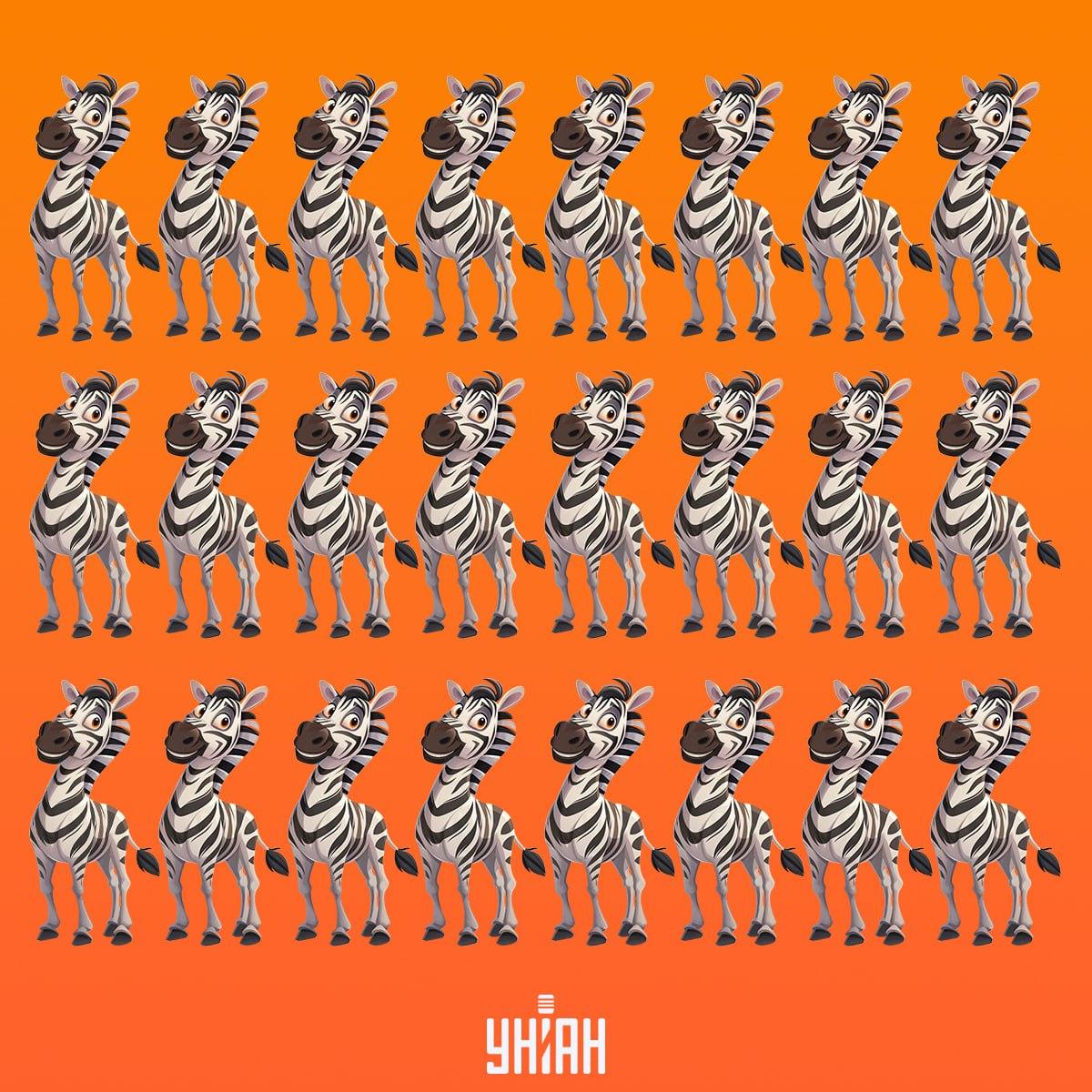 เราจะต้องตามหาม้าลายให้ทันเวลาซึ่งไม่เหมือนตัวอื่นๆ / Moje คอลลาจ