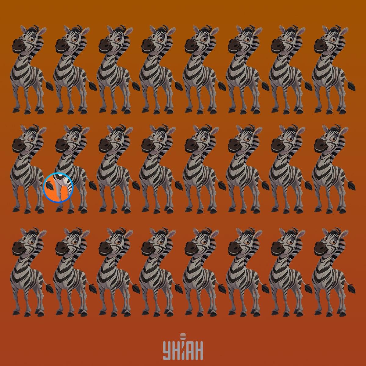 ม้าลายแปลกๆ อยู่ในบรรทัดที่สองจากด้านบน / ภาพตัดปะ Moje