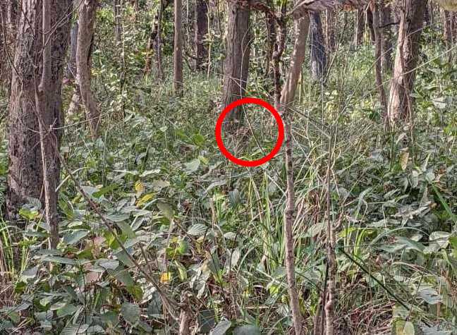 สารละลาย