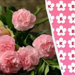 97% ของคนไ