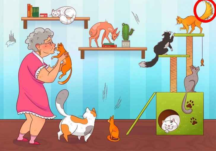 ภาพถ่าย ไบรท์ไซด์