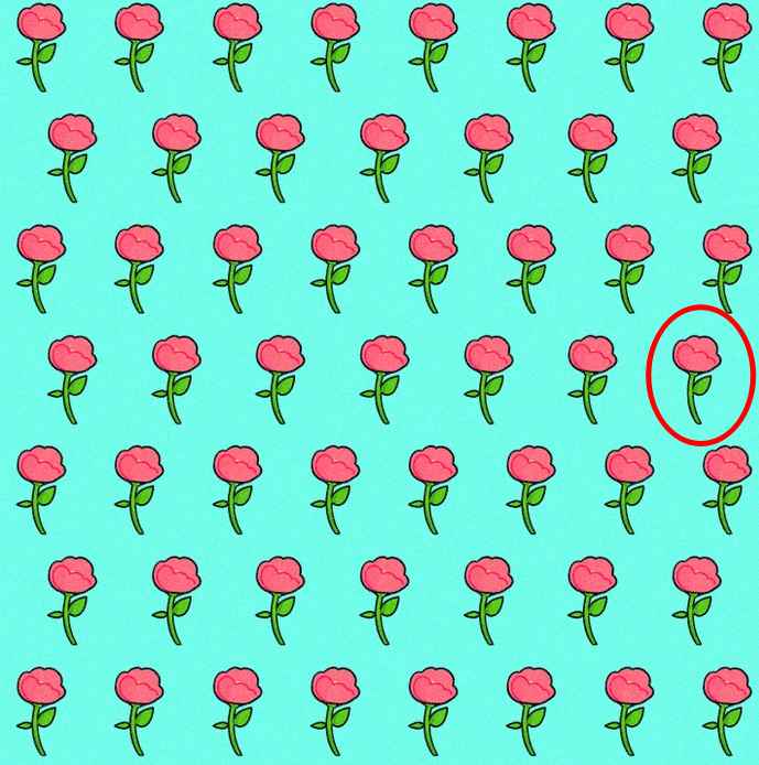 มีเพียงอัจฉริยะเท่านั้นที่จะพบดอกกุหลาบแปลก ๆ ใน 5 วินาที: ปริศนาเพื่อทดสอบความเอาใจใส่ของคุณ มีเพียงอัจฉริยะเท่านั้นที่จะพบดอกกุหลาบแปลก ๆ ใน 5 วินาที: ปริศนาเพื่อทดสอบความเอาใจใส่ของคุณ