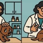 การทดสอบไอคิว: ค้นหา 3 ความแตกต่างในภาพของสัตวแพทย์ใน 63 วินาที การทดสอบไอ