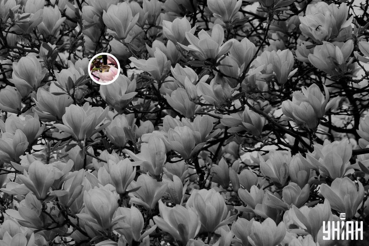 ยูเนี่ยน