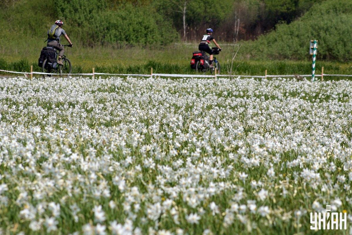 ยูเนี่ยน